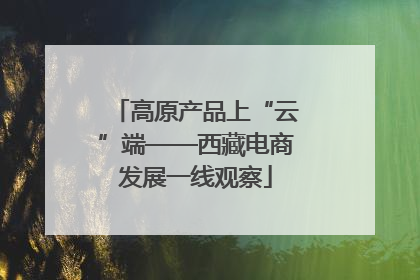 高原产品上“云”端——西藏电商发展一线观察