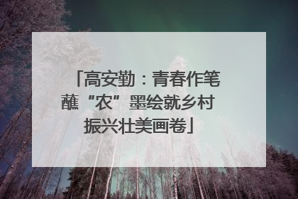 高安勤：青春作笔蘸“农”墨绘就乡村振兴壮美画卷