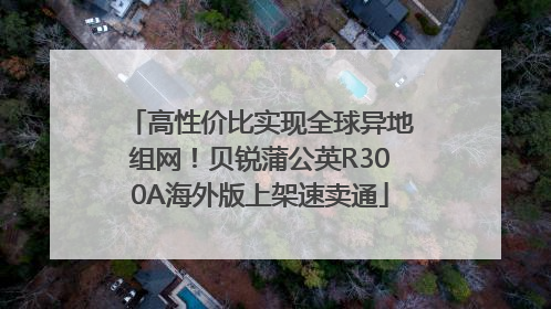 高性价比实现全球异地组网！贝锐蒲公英R300A海外版上架速卖通