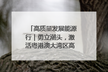 高质量发展能源行｜勇立潮头，激活粤港澳大湾区高质量发展动力源