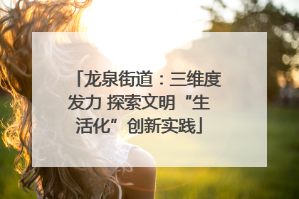 龙泉街道：三维度发力 探索文明“生活化”创新实践