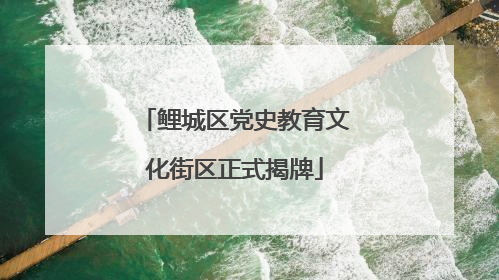 鲤城区党史教育文化街区正式揭牌