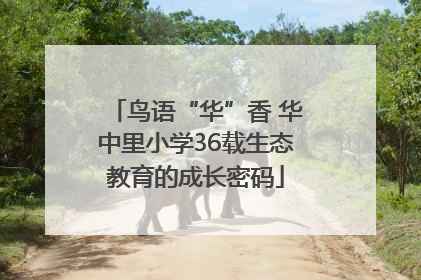 鸟语“华”香 华中里小学36载生态教育的成长密码