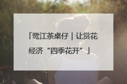 鹭江茶桌仔｜让赏花经济“四季花开”