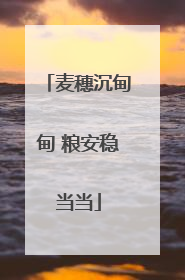 麦穗沉甸甸 粮安稳当当