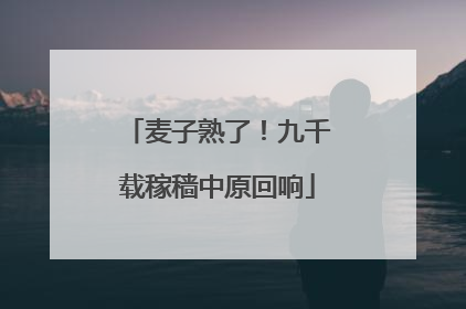 麦子熟了！九千载稼穑中原回响