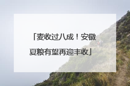麦收过八成！安徽夏粮有望再迎丰收