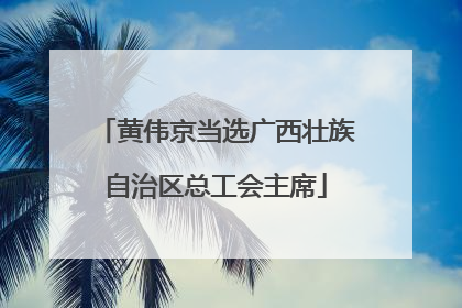 黄伟京当选广西壮族自治区总工会主席
