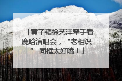 黄子韬徐艺洋牵手看鹿晗演唱会，“老相识” 同框太好嗑！