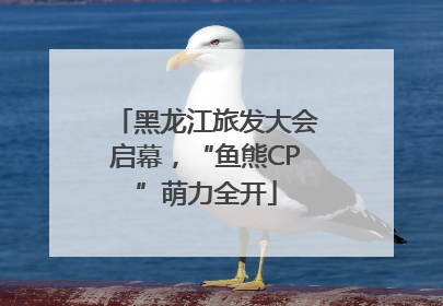 黑龙江旅发大会启幕，“鱼熊CP”萌力全开