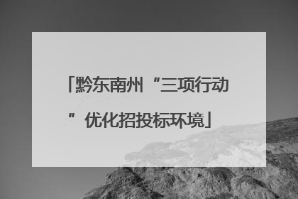 黔东南州“三项行动”优化招投标环境