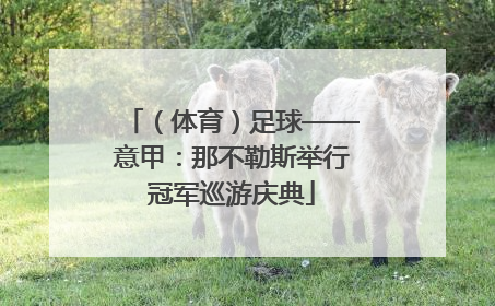 （体育）足球——意甲：那不勒斯举行冠军巡游庆典