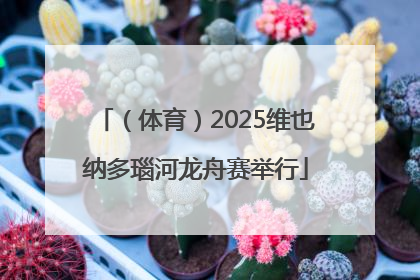 （体育）2025维也纳多瑙河龙舟赛举行