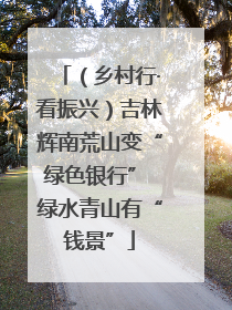 （乡村行·看振兴）吉林辉南荒山变“绿色银行” 绿水青山有“钱景”