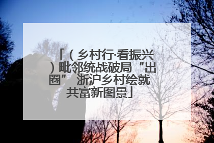 （乡村行·看振兴）毗邻统战破局“出圈” 浙沪乡村绘就共富新图景
