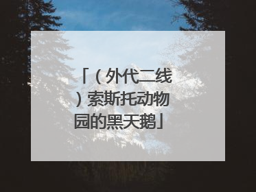 （外代二线）索斯托动物园的黑天鹅