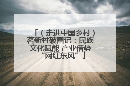 （走进中国乡村）茗新村破圈记：民族文化赋能 产业借势 “网红东风”
