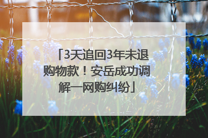 3天追回3年未退购物款！安岳成功调解一网购纠纷