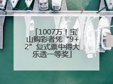 1007万！宝山购彩者凭“9+2”复式票中得大乐透一等奖