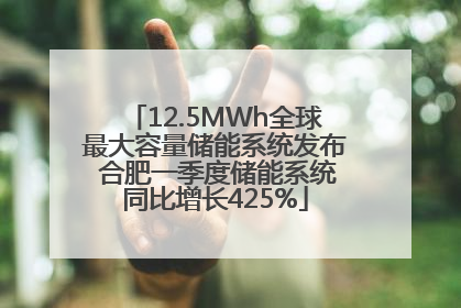 12.5MWh全球最大容量储能系统发布 合肥一季度储能系统同比增长425%