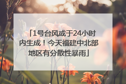 1号台风或于24小时内生成！今天福建中北部地区有分散性暴雨