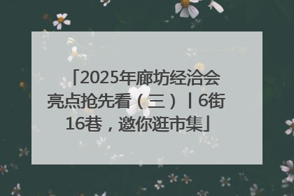 2025年廊坊经洽会亮点抢先看（三）丨6街16巷，邀你逛市集