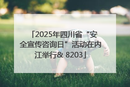 2025年四川省“安全宣传咨询日”活动在内江举行& 8203