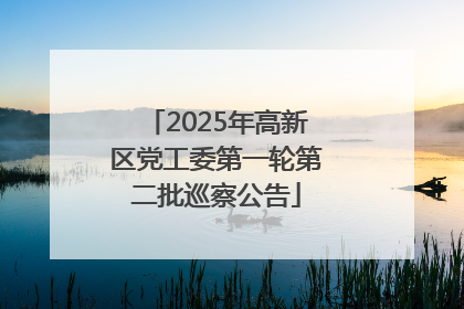 2025年高新区党工委第一轮第二批巡察公告