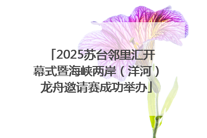 2025苏台邻里汇开幕式暨海峡两岸（洋河）龙舟邀请赛成功举办