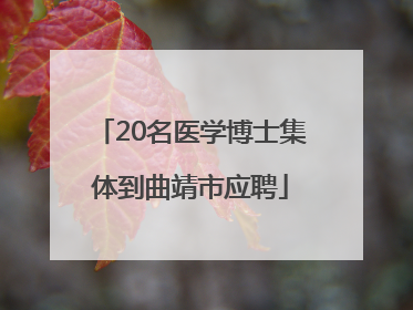 20名医学博士集体到曲靖市应聘