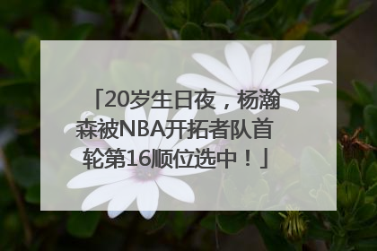20岁生日夜，杨瀚森被NBA开拓者队首轮第16顺位选中！