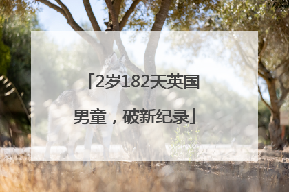 2岁182天英国男童，破新纪录