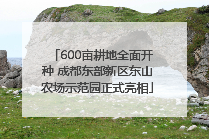 600亩耕地全面开种 成都东部新区东山农场示范园正式亮相