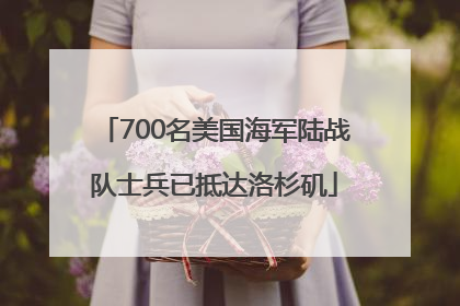 700名美国海军陆战队士兵已抵达洛杉矶